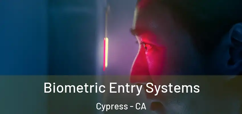  Biometric Entry Systems Cypress - CA
